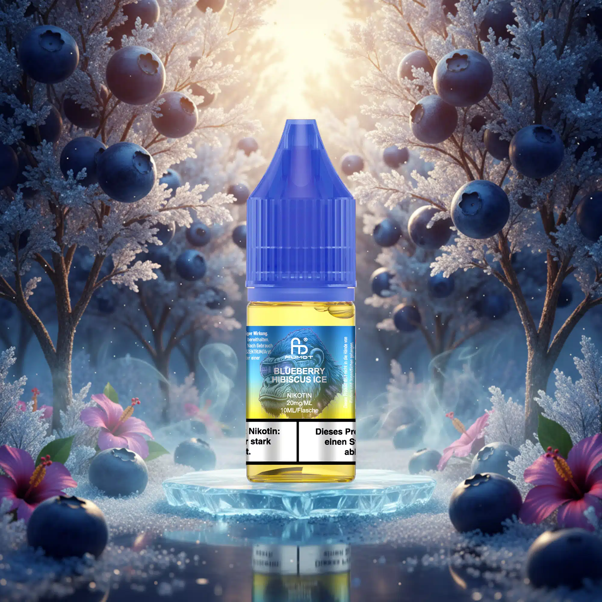 RandM Tornado Liquid Blueberry Hibiscus Ice 20mg